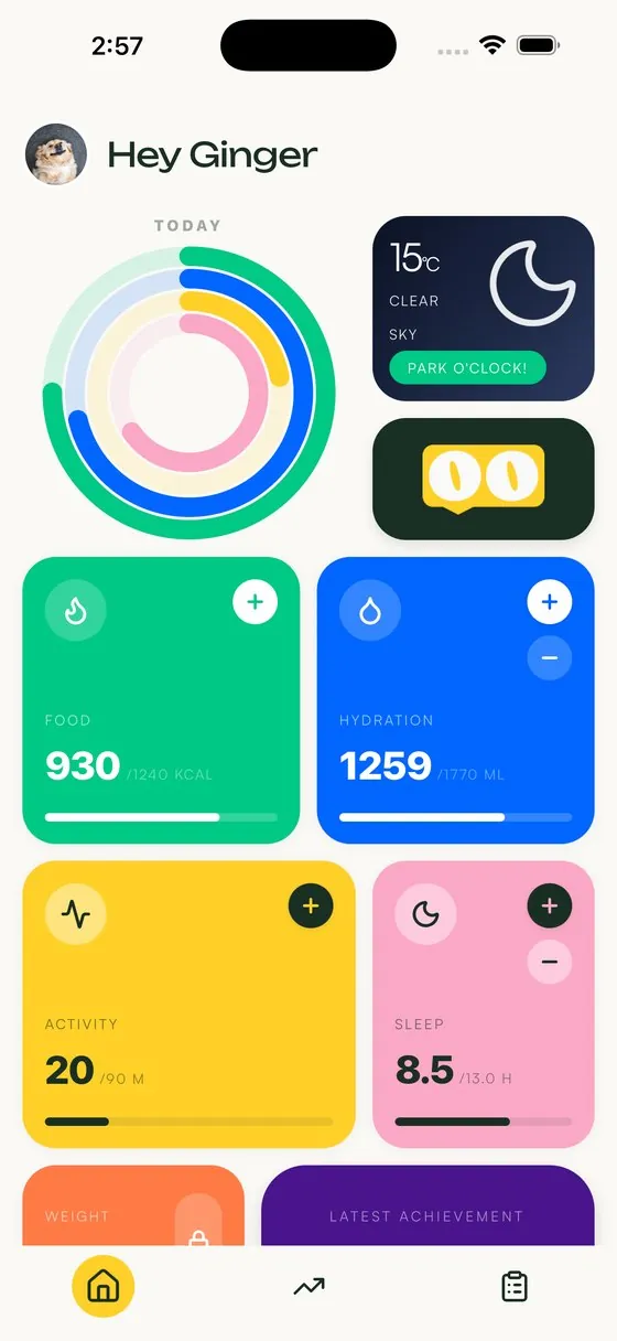 The Boopsee dashboard: food, water, activity and sleep rings for one day